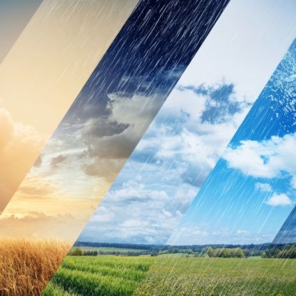Wettervorhersage