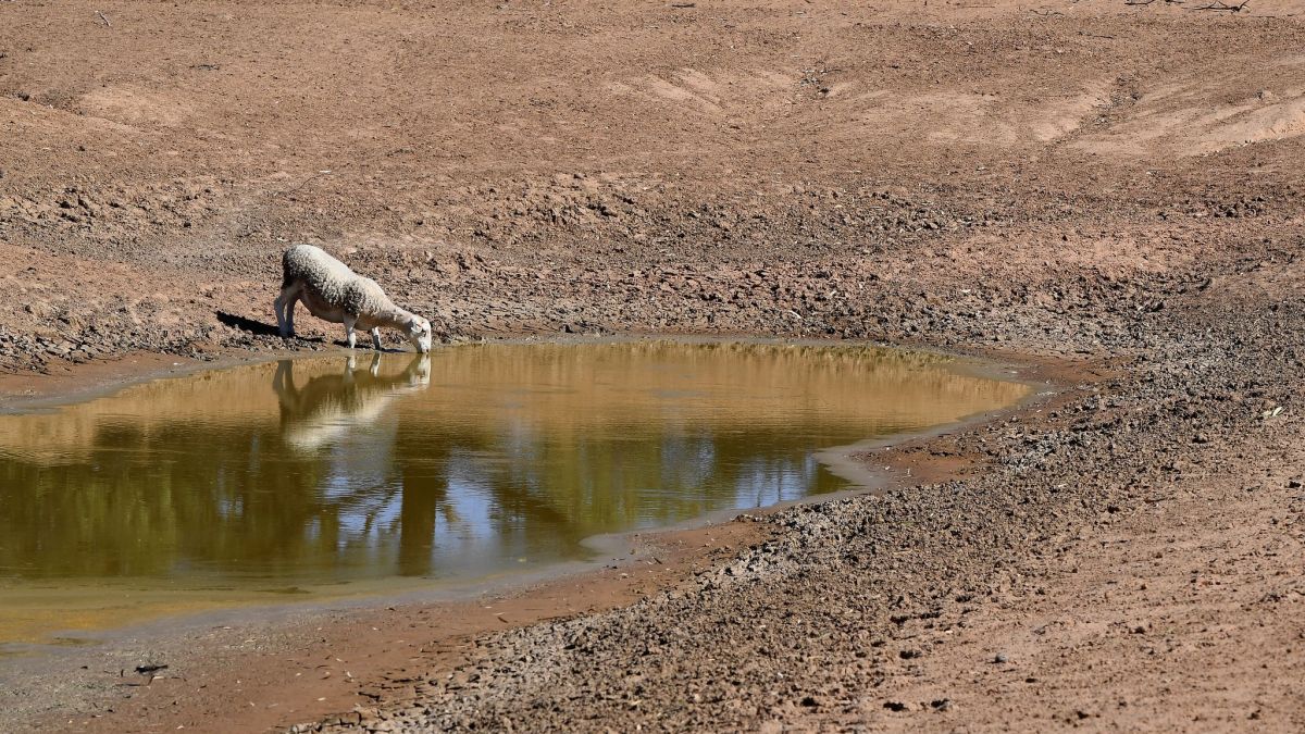 Zus&auml;tzlich zum Klimawandel durch menschengemachte Treibhausgase kommt nun das Wetterph&auml;nomen El Ni&ntilde;o auf die Welt zu. (Foto)
