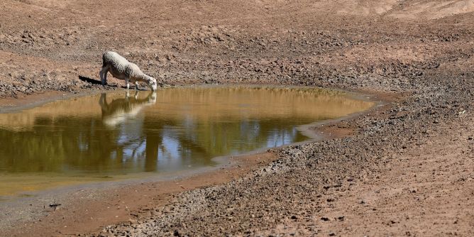 El Niño im Anmarsch