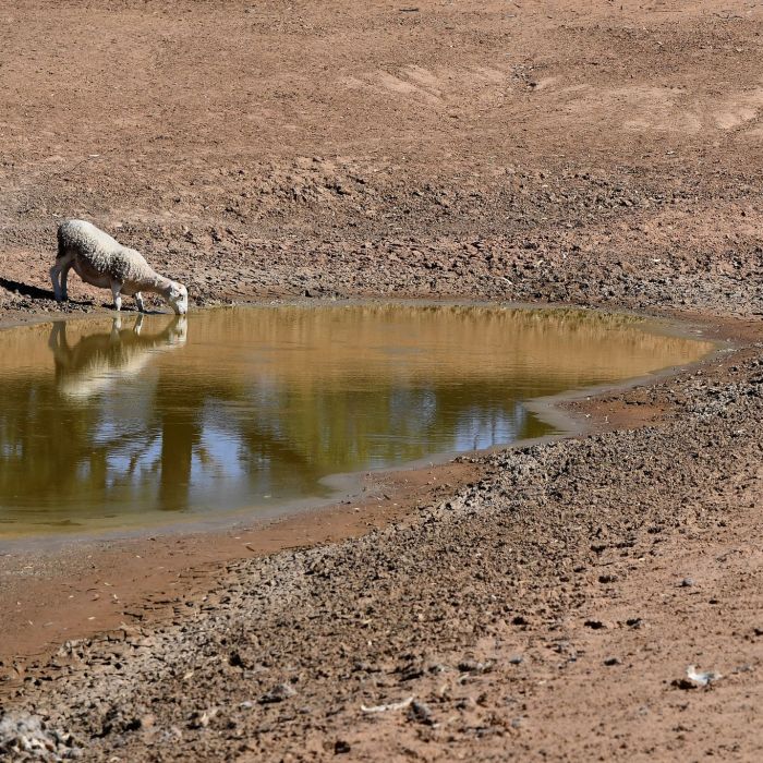 Hitze, Fluten, Dürren - WMO warnt vor Extremwetter