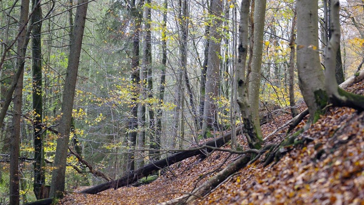 Pakt mit der Natur bei Arte (Foto)