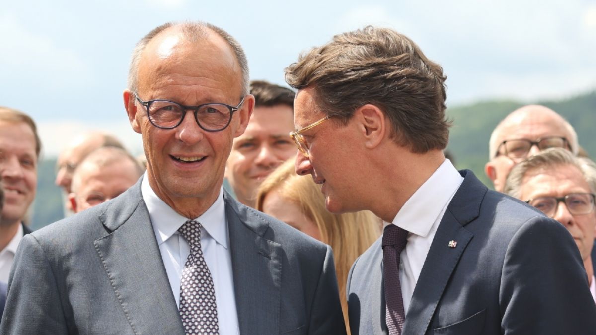 Friedrich Merz und Hendrik W&uuml;st (Foto)