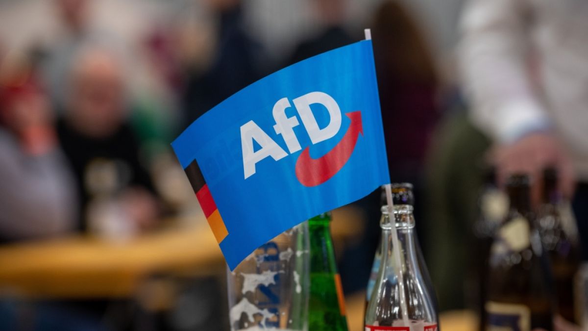 Eine Mehrheit ihrer Anh&auml;nger w&uuml;rde die AfD aus Entt&auml;uschung &uuml;ber andere Parteien w&auml;hlen. (Foto)