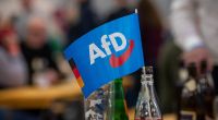 Eine Mehrheit ihrer Anhänger würde die AfD aus Enttäuschung über andere Parteien wählen.