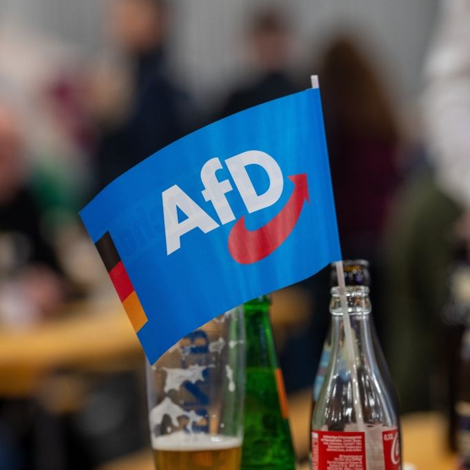AfD profitiert von Frust-Wählern - Regierung im Umfrage-Tief