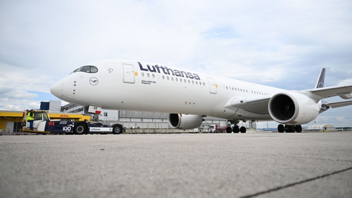 Wohl aufgrund der Streikwelle im Fr&uuml;hjahr ist die Fluggesellschaft Lufthansa im Vergleich zum Vorjahr deutlich abgest&uuml;rzt. (Foto)