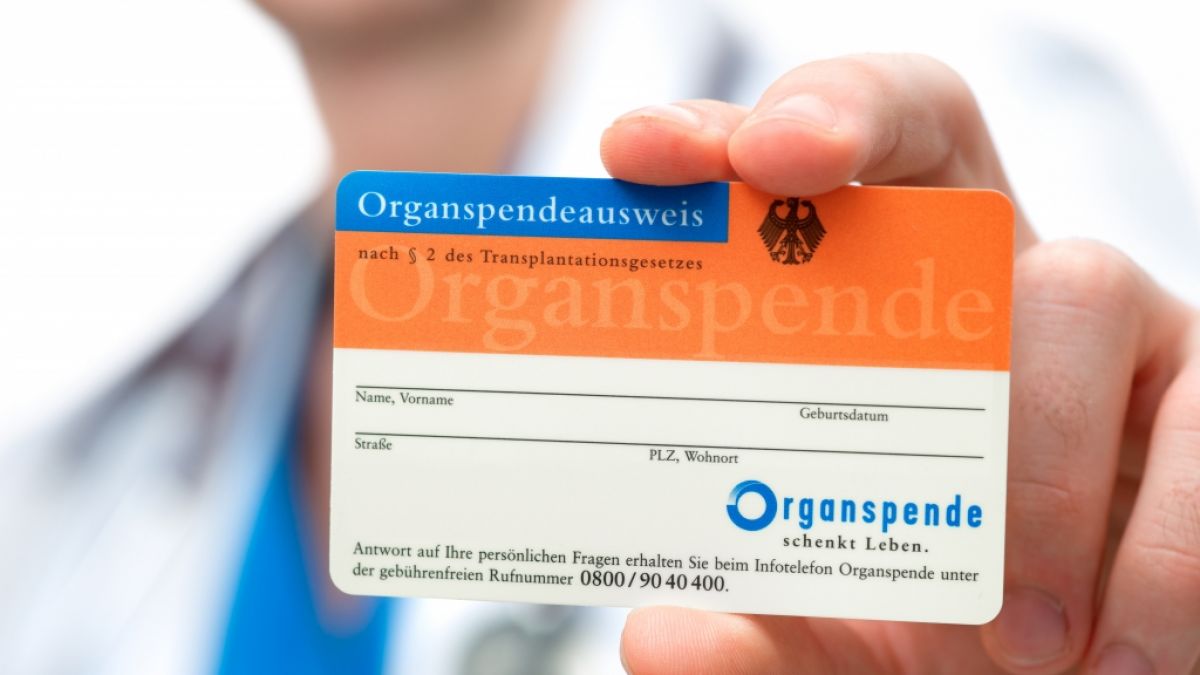 Die Widerspruchsl&ouml;sung k&ouml;nnte die pragmatische Antwort auf ein dr&auml;ngendes Problem sein. (Foto)