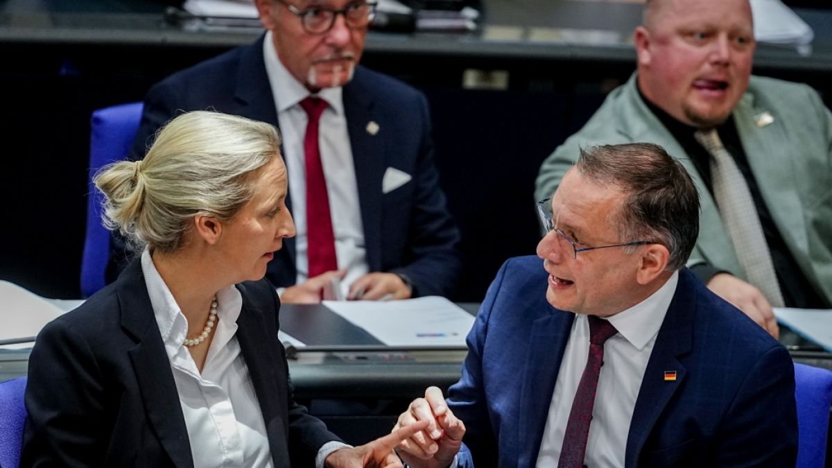 AfD unter Druck: Scharfe Kritik aus den eigenen Reihen sorgt f&uuml;r Unruhe (Foto)