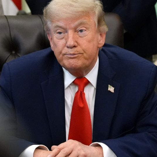 Donald Trump will seine Amtsenthebungsverfahren angeblich 