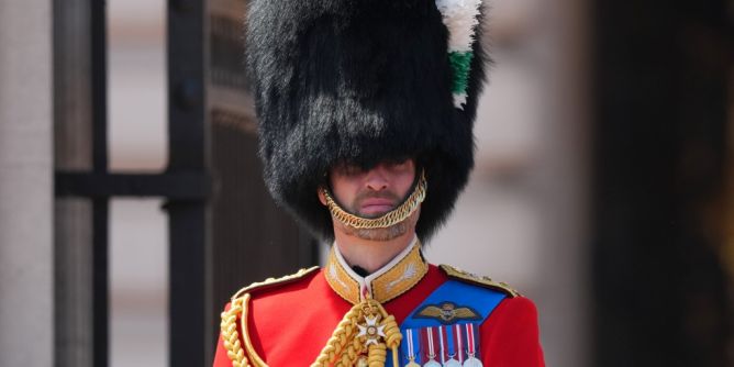 Prinz William