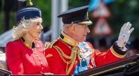 Eine Lippenleserin hat die brisanten Worte von König Charles aufgedeckt.