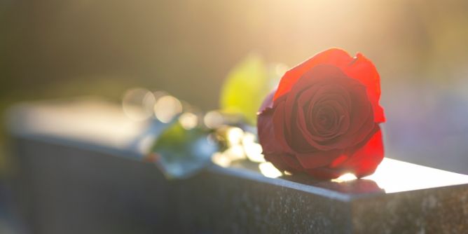 Jemma Stapleton ist tot