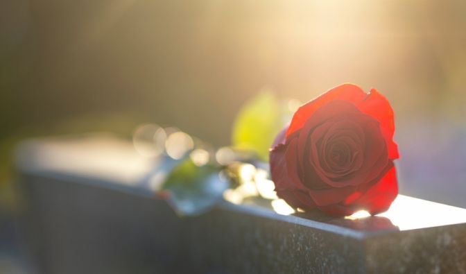 Sprint-Star (25) stirbt bei Horror-Crash - Familie musste alles mitansehen Jemma Stapleton ist tot