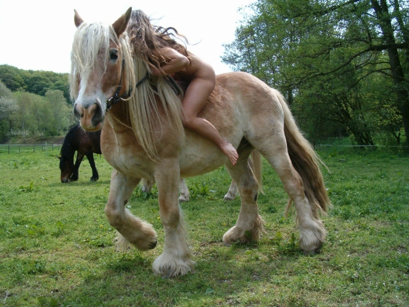 Eins sein mit Pferd und Wiese: Für die Nacktreiter geht das am besten ohne ...