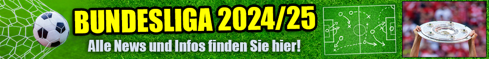 Bundesliga 2024-2025