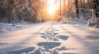 Wie wird das Wetter im Februar?