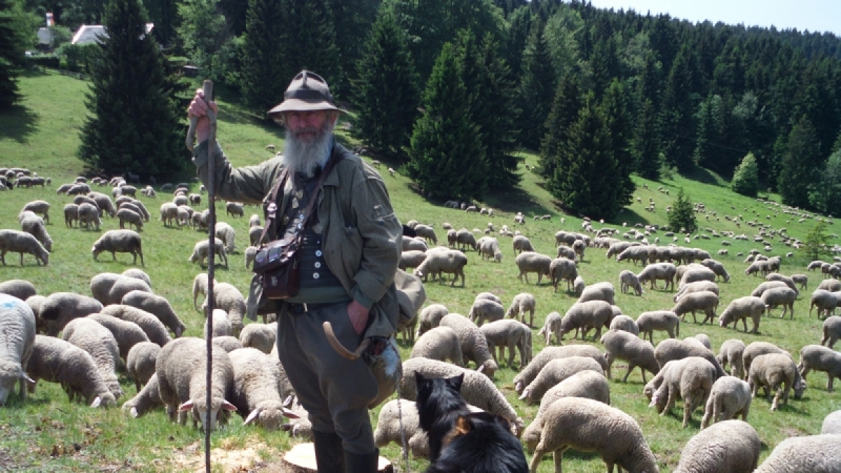 In Th&uuml;ringen wird die Landschaft noch herk&ouml;mmlich gepflegt. (Foto)