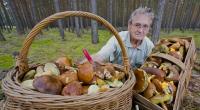 Der Ausflug in den Wald hat sich für diesen Pilzfreund gelohnt.
