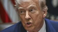 Welchen Plan hat Donald Trump für Grönland?