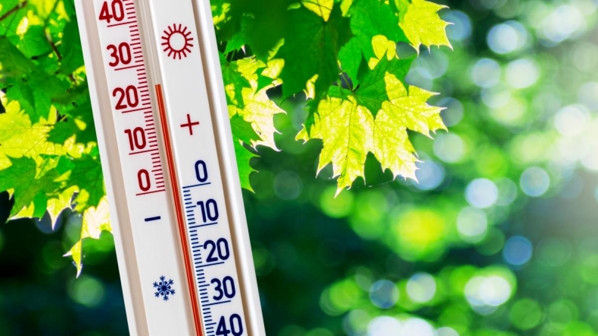 Zum Monatswechsel sollen die Temperaturen wieder steigen. (Foto)