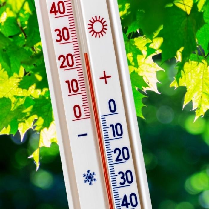 Meteorologen prophezeien Frühlingscomeback - bis zu 25 Grad möglich