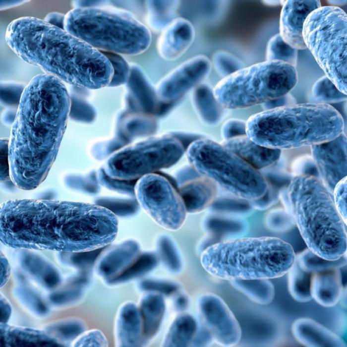 Fallzahlen steigen: Expertin schlägt Alarm und spricht von einer Epidemie