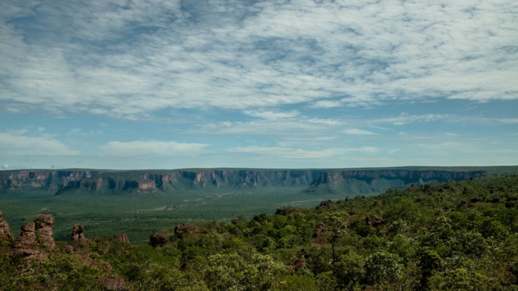 Im westafrikanischen Nationalpark Pendjari wurde ein Reiseführer tot aufgefunden.(Symbolbild)