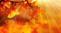 Sahara-Luft bringt am Wochenende noch einmal sommerliche Temperaturen nach Deutschland.
