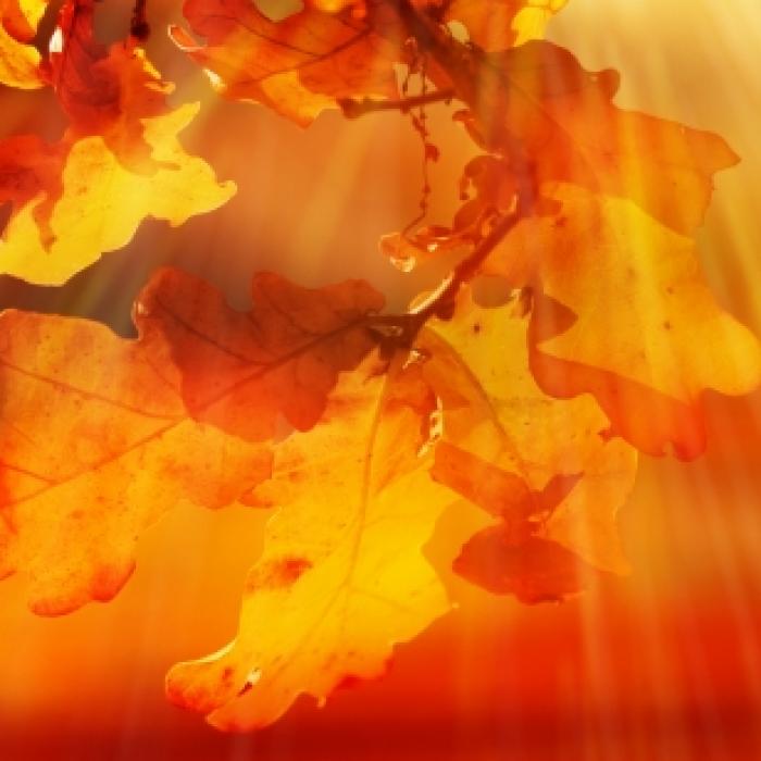 Sahara-Luft kracht den Herbst weg! HIER wird's nochmal richtig heiß