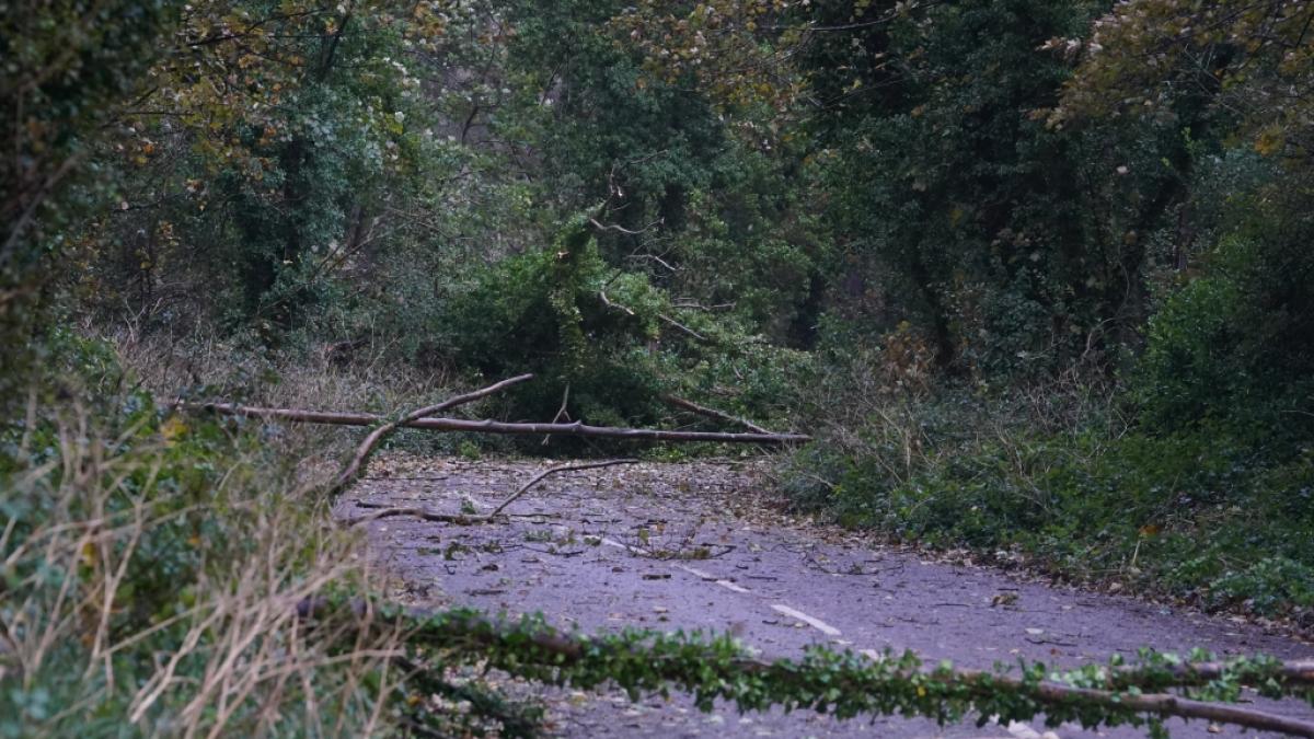 Umgest&uuml;rzte B&auml;ume und abgebrochene &Auml;ste blockieren eine Stra&szlig;e in Dover, Kent. (Foto)