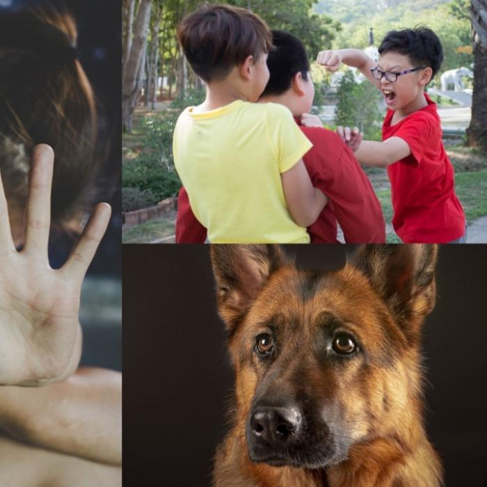 Unfassbar! Schwester geschwängert, Hund von Herrchen erschlagen