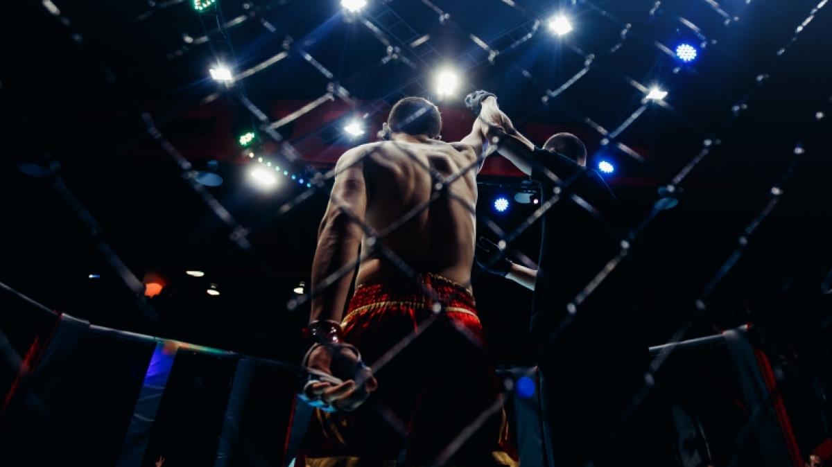 Wer schnappt sich den WM-G&uuml;rtel bei UFC 285? (Foto)