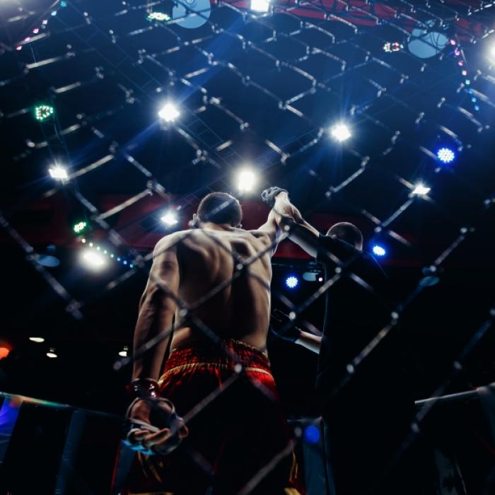 Jon Jones besiegt Ciryl Gane in der Käfig-Schlacht