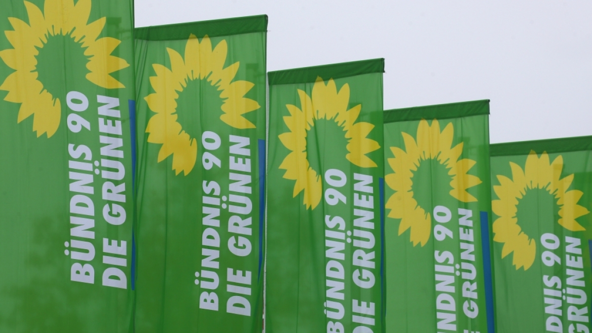 Die Gr&uuml;nen erhielten eine Gro&szlig;spende &uuml;ber 35.000 Euro (Symbolbild). (Foto)