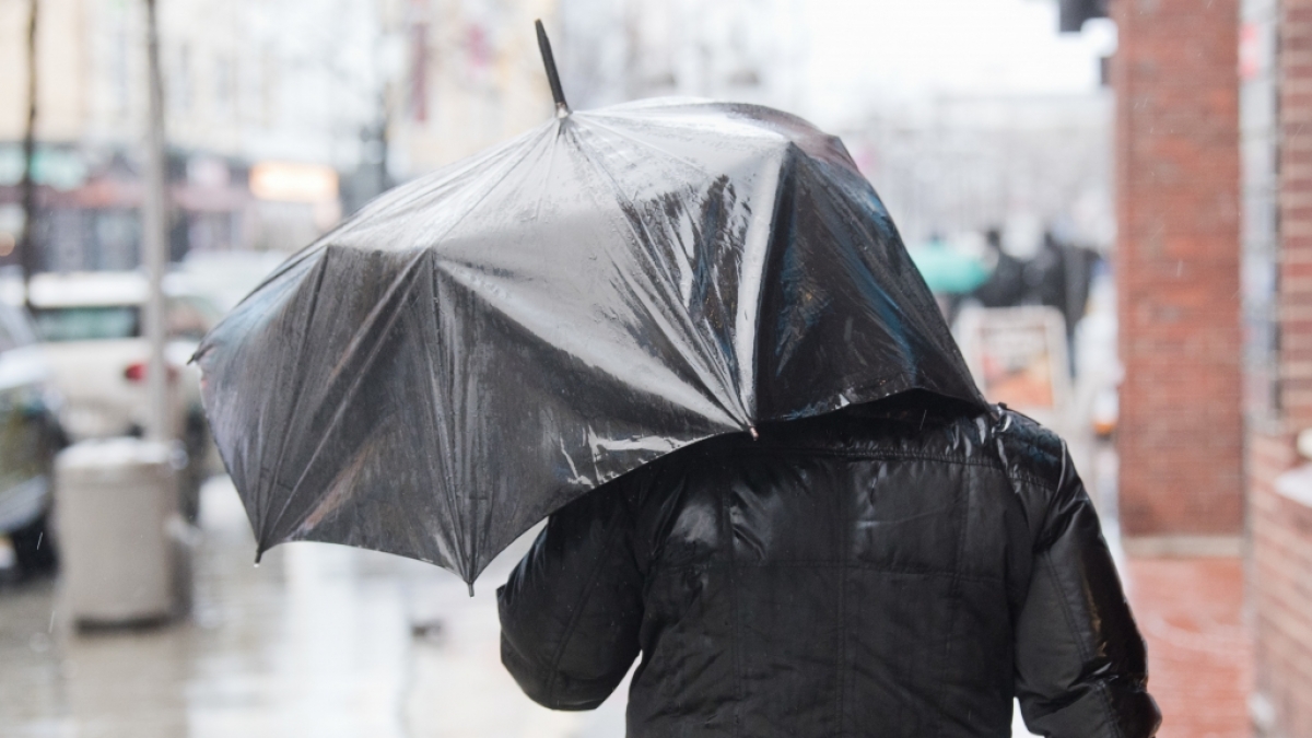 Tief "Thomas" bringt Deutschland nicht nur milde, fast fr&uuml;hlingshafte Temperaturen, sondern auch st&uuml;rmische B&ouml;en. (Foto)