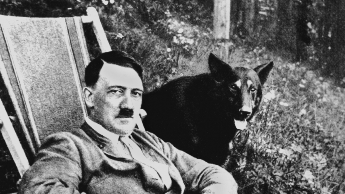 Der nationalsozialistische "F&uuml;hrer" und deutsche Diktator Adolf Hitler mit seinem Hund (undatierte Aufnahme). (Foto)