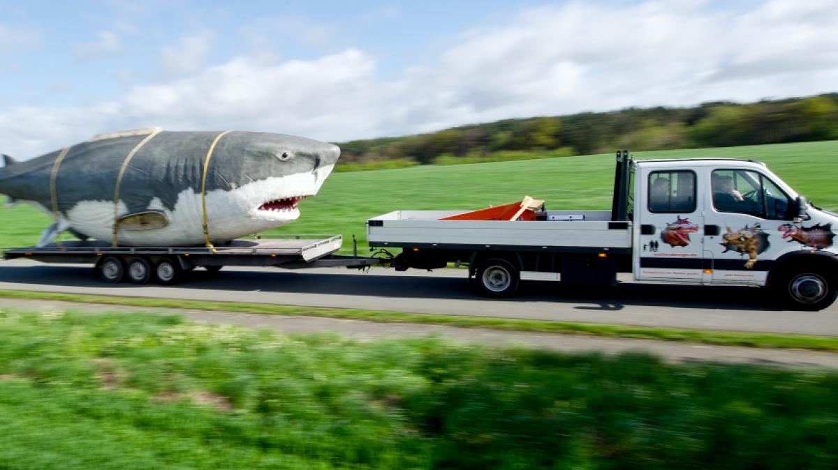 Erschreckende Gr&ouml;&szlig;enverh&auml;ltnisse: Megalodon VS Transporter (Foto)