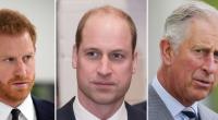 Nach seiner unverhofften Audienz bei König Charles III. steht die Befürchtung im Raum, Prinz Harry könnte einen Keil zwischen den Monarchen und Prinz William treiben.