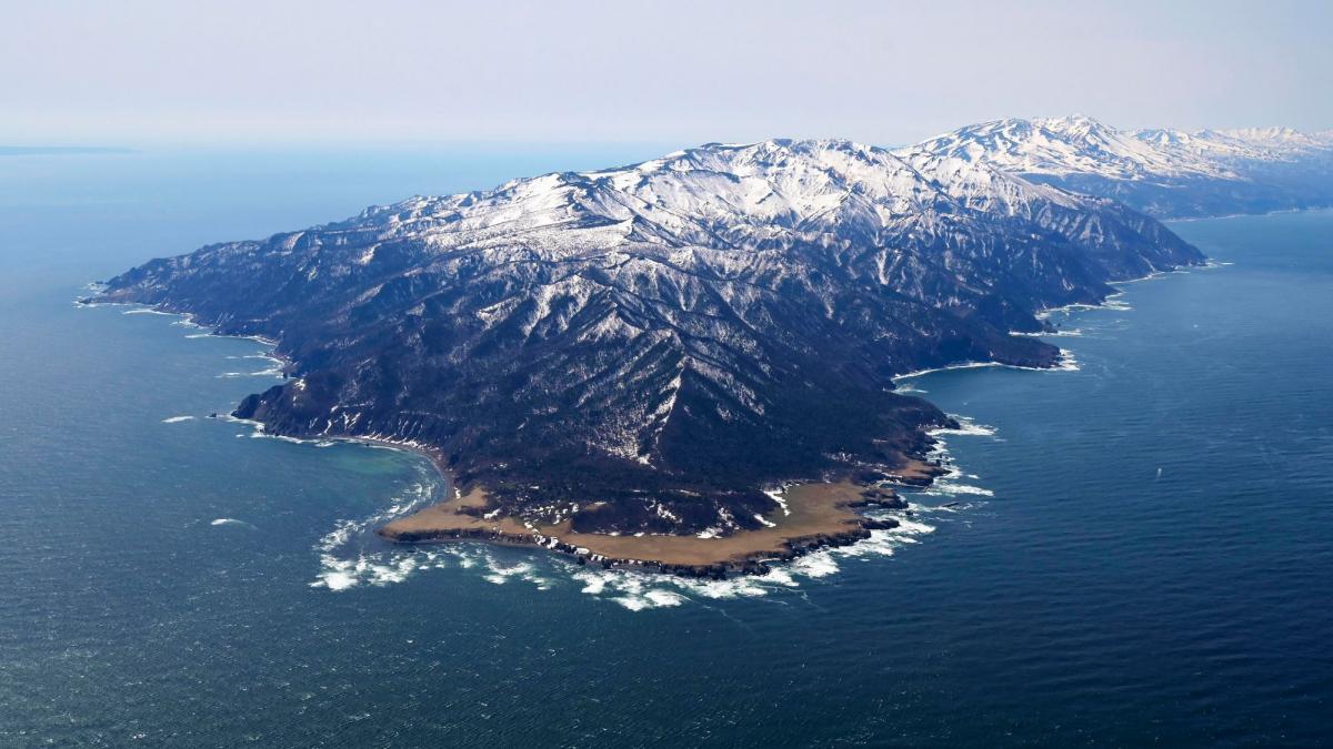 Dieses Luftbild zeigt die Gew&auml;sser an der Halbinsel Shiretoko im Norden Japans auf Hokkaido, wo Retter eine Suchaktion durchf&uuml;hren. Ein Erdbeben der St&auml;rke 7,4 hat nach Angaben der US-Erdbebenwarte USGS Japan ersch&uuml;ttert. (Foto)