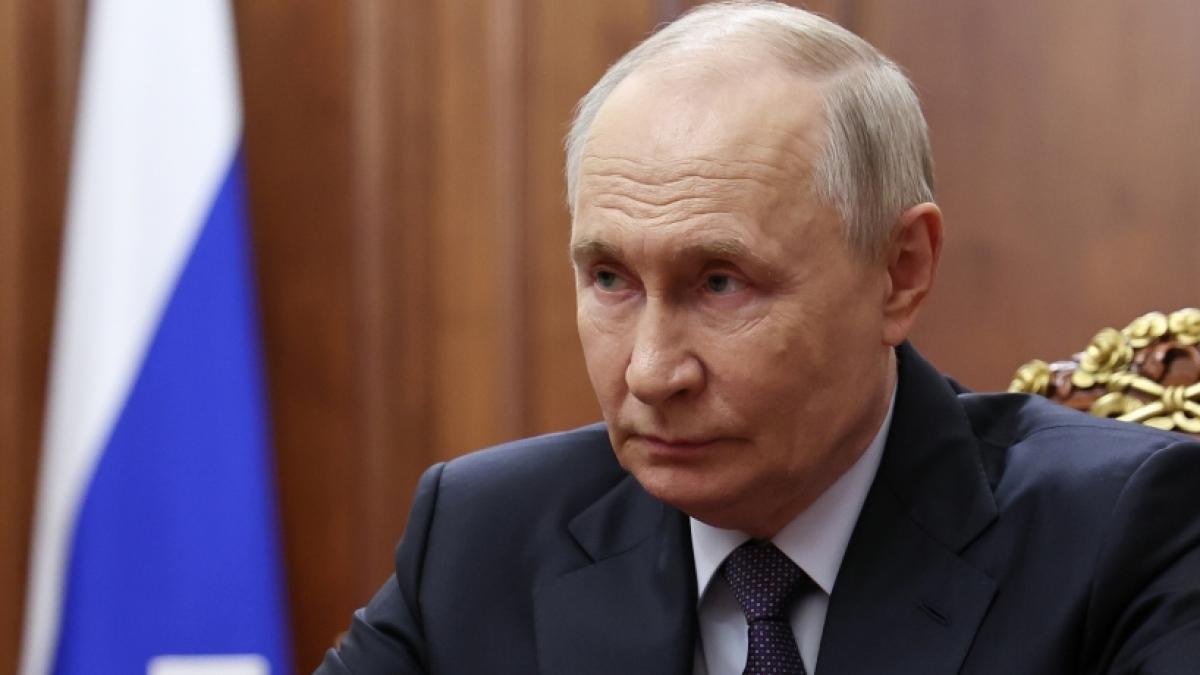 K&ouml;nnte Wladimir Putin wirklich die Nato angreifen? (Foto)