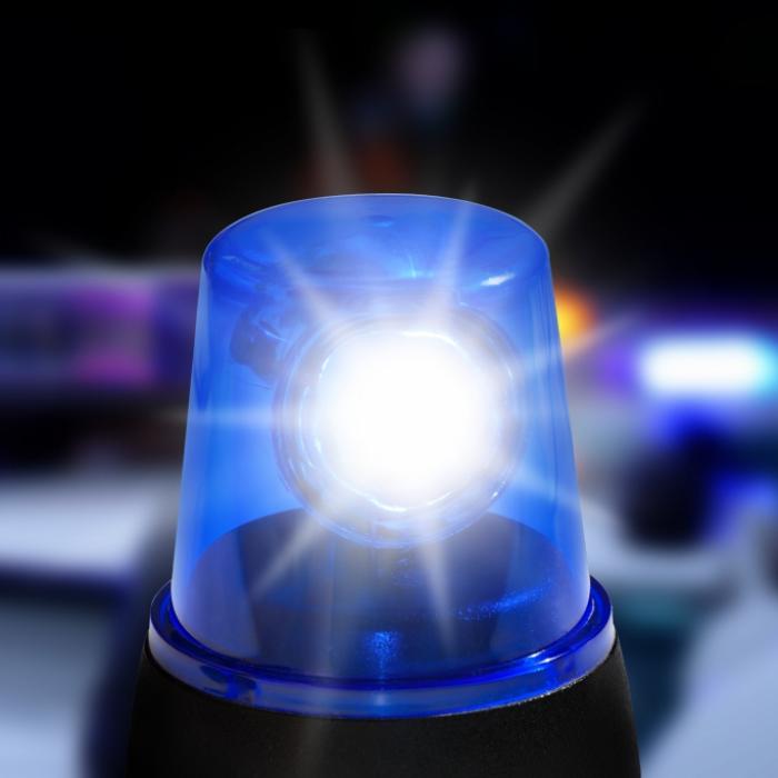 Brandanschlag auf jüdische Gemeinde - Scholz fordert stärkeren Schutz