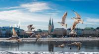 Fällt der Winter in Deutschland komplett aus?
