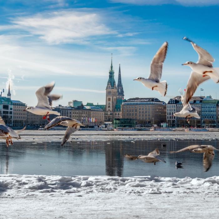 Düstere Winter-Prognose! Droht uns der Totalausfall?