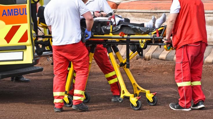 Sänger Buddy musste nach einer Verletzung gerettet werden. (Symbolfoto)