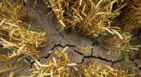 Droht der Welt ein Super-El-Niño?