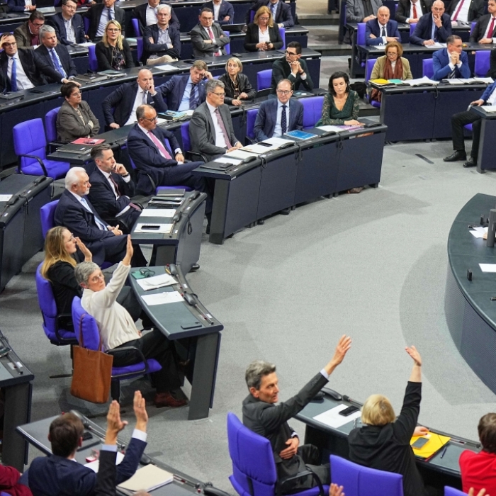 Vorschlag der AfD scheitert im Bundestag