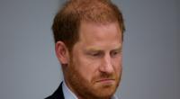 Prinz Harry suhlt sich nur zu gern in Selbstmitleid - nun wittert der Königssohn gar ein perfides Sabotage-Komplott, das seine Versöhnung mit König Charles III. verhindern soll.