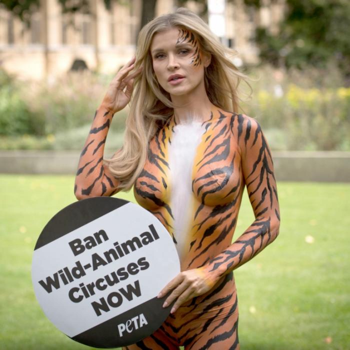 Wilde Verrenkungen! Polnisches Model halbnackt beim Yoga