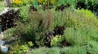 Kräuterbeete und -spiralen verschönern den Garten auf ganz besondere Weise.