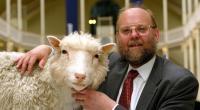 Ian Wilmut, Vater von Klonschaf Dolly (hier mit dem ausgestopften Tier in Edinburgh), ist tot. Der britische Forscher wurde 79 Jahre alt.